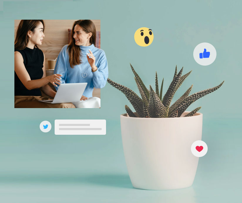 Socially Interactive